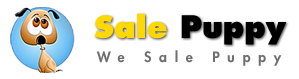 Sell Puppy